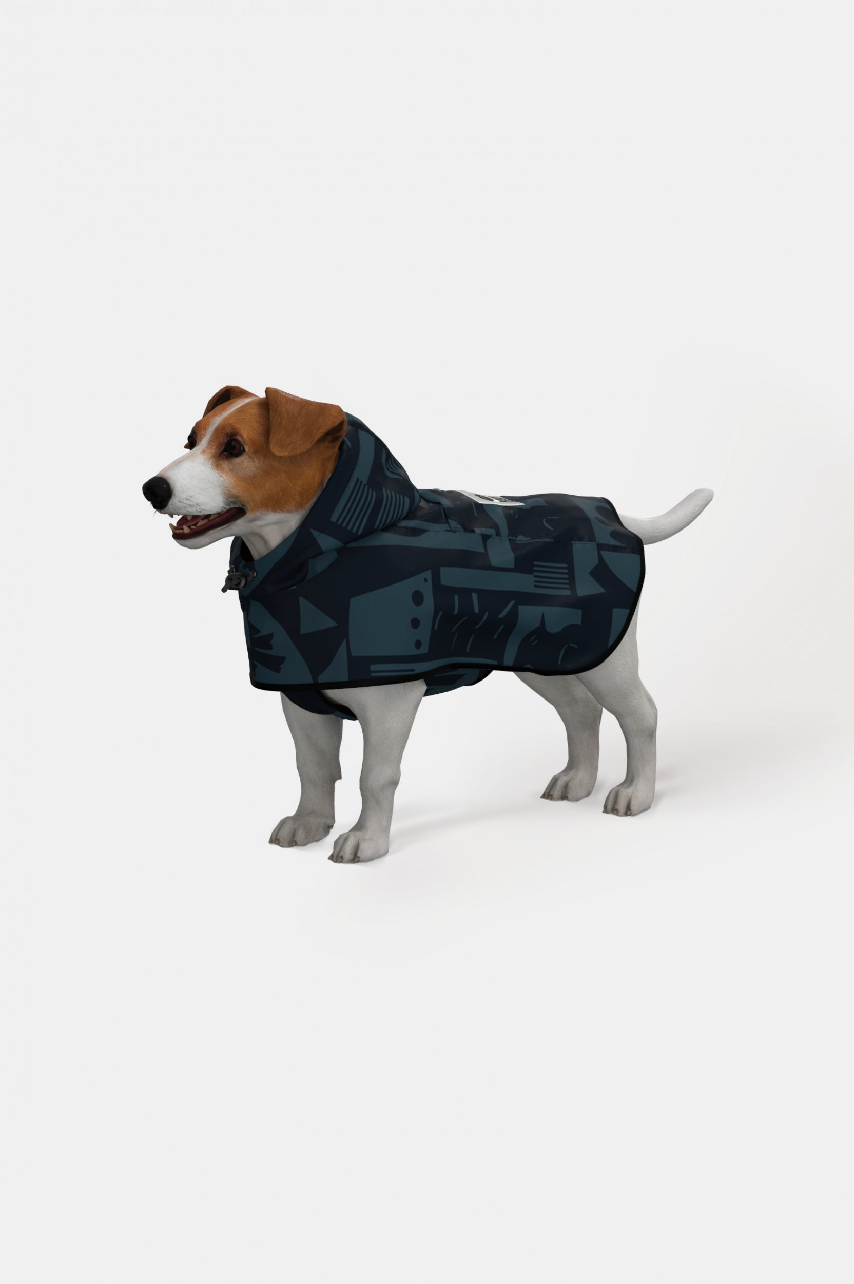 Image of Back to Black - Dog Poncho