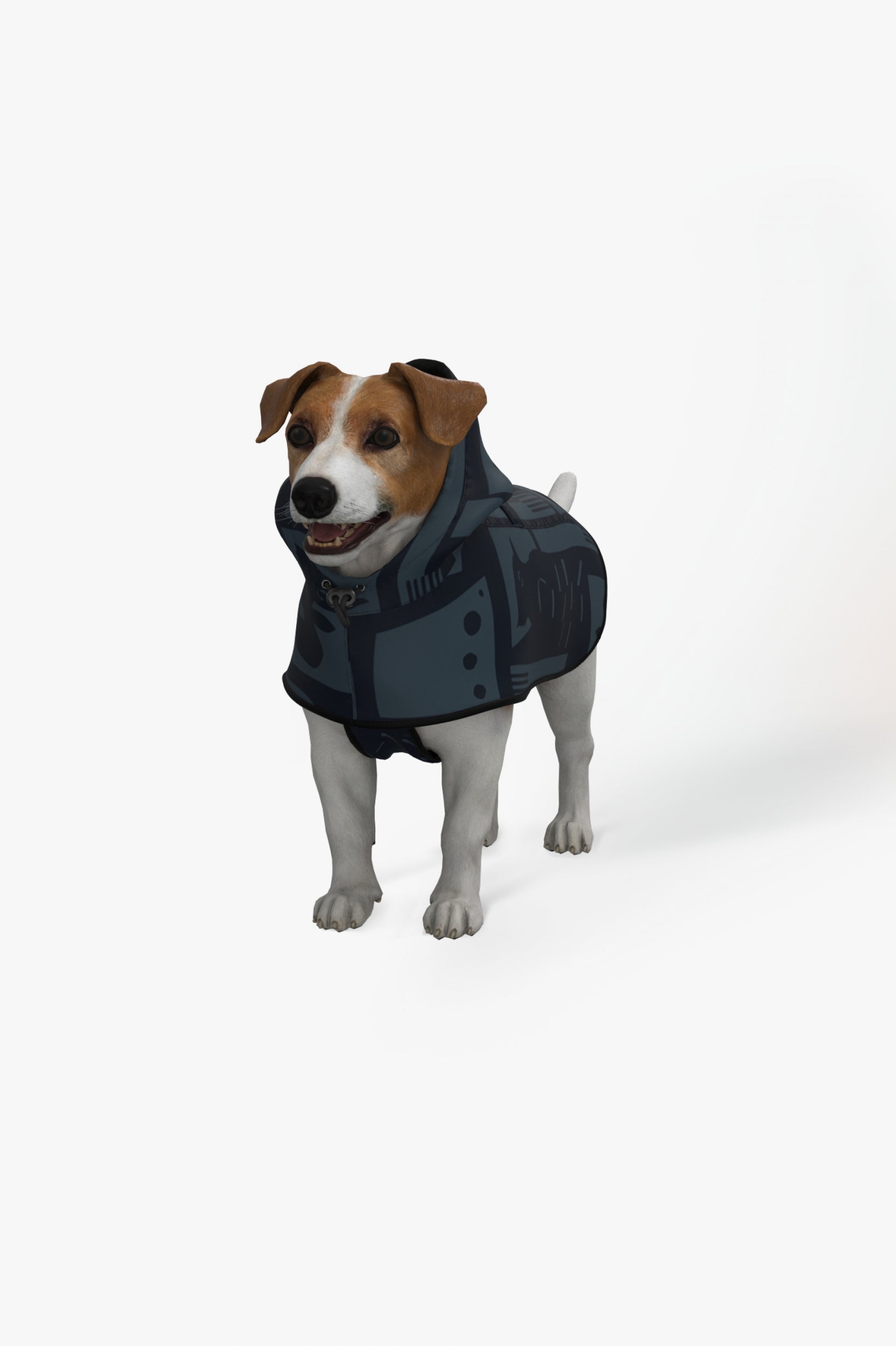 Back to Black - Dog Poncho