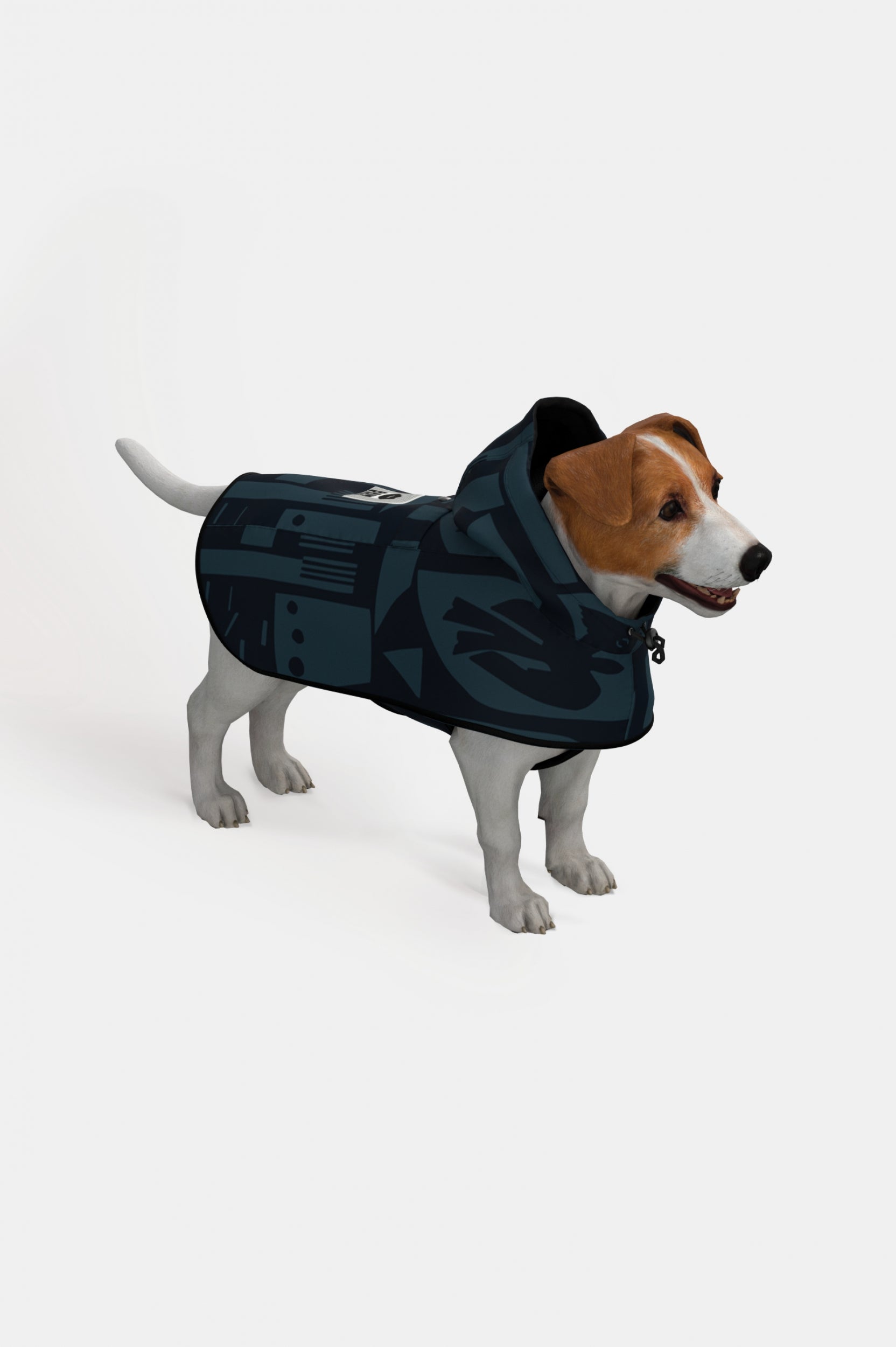 Image of Back to Black - Dog Poncho