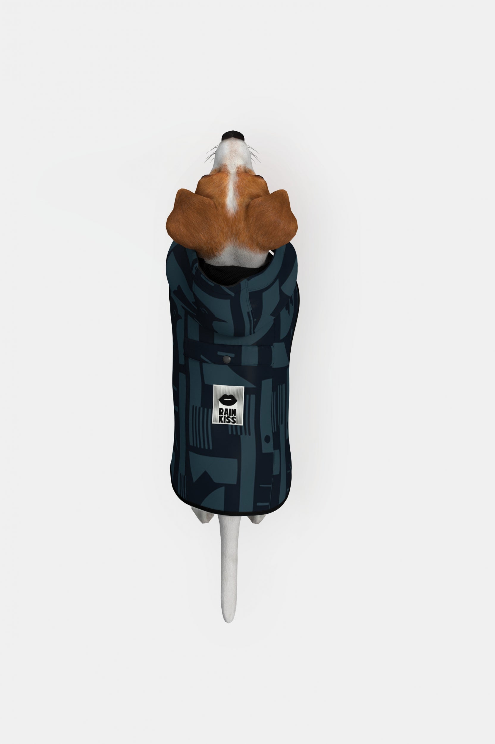Image of Back to Black - Dog Poncho