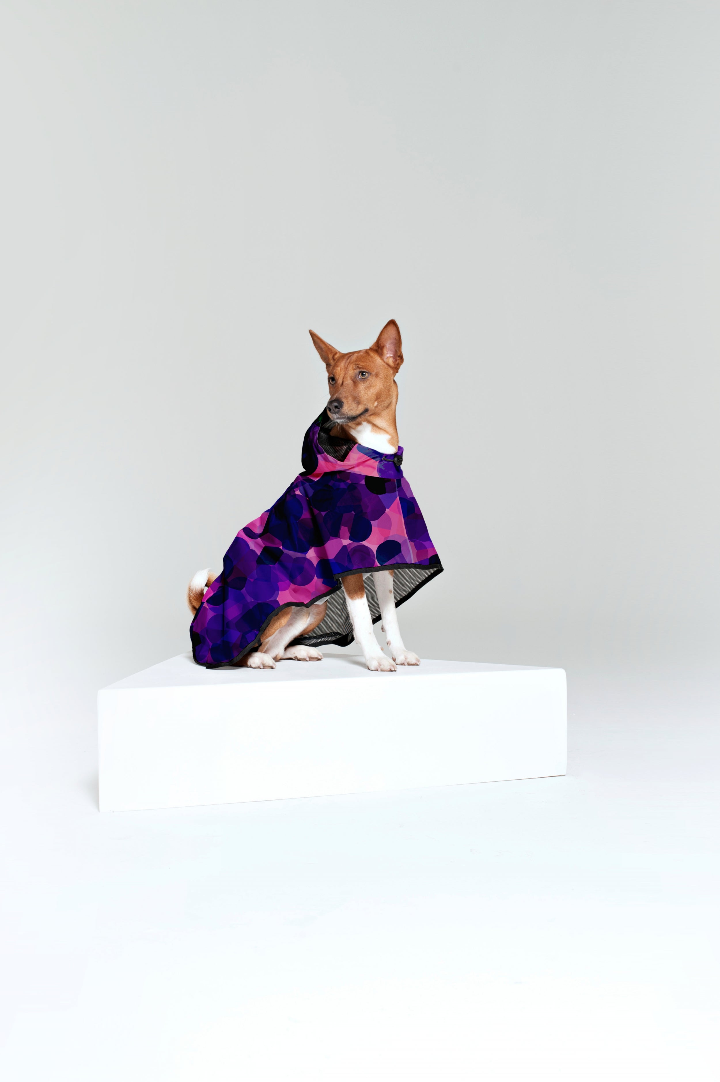 Image of City Lights - Dog Poncho