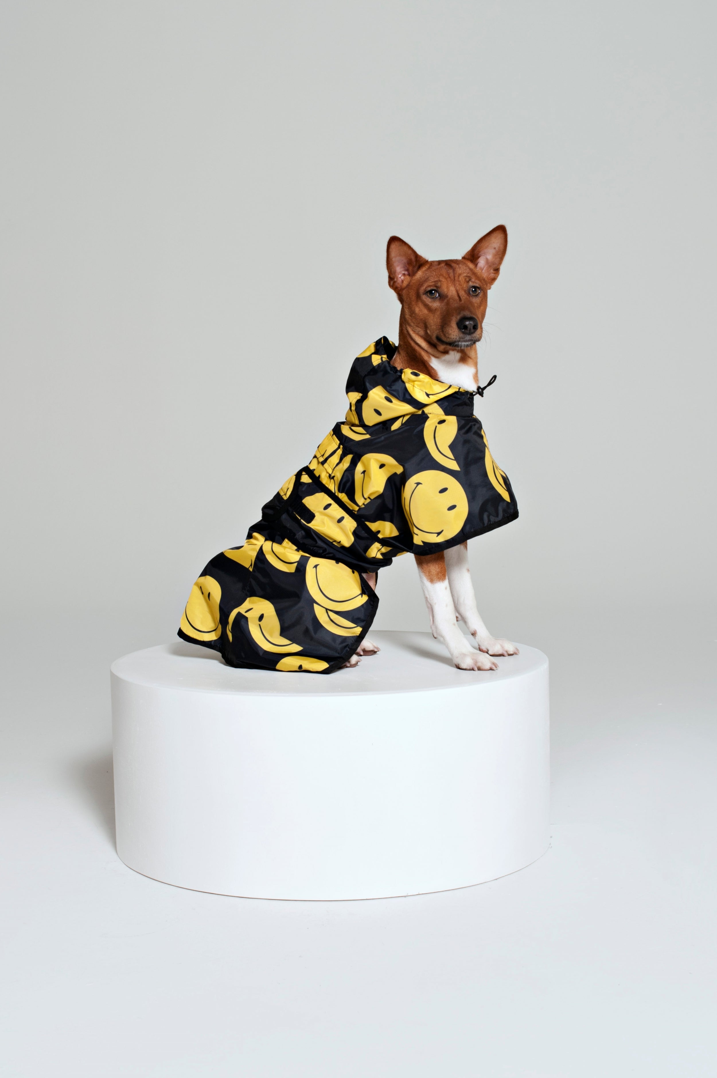 Image of All Smiles x Smiley - Dog Poncho