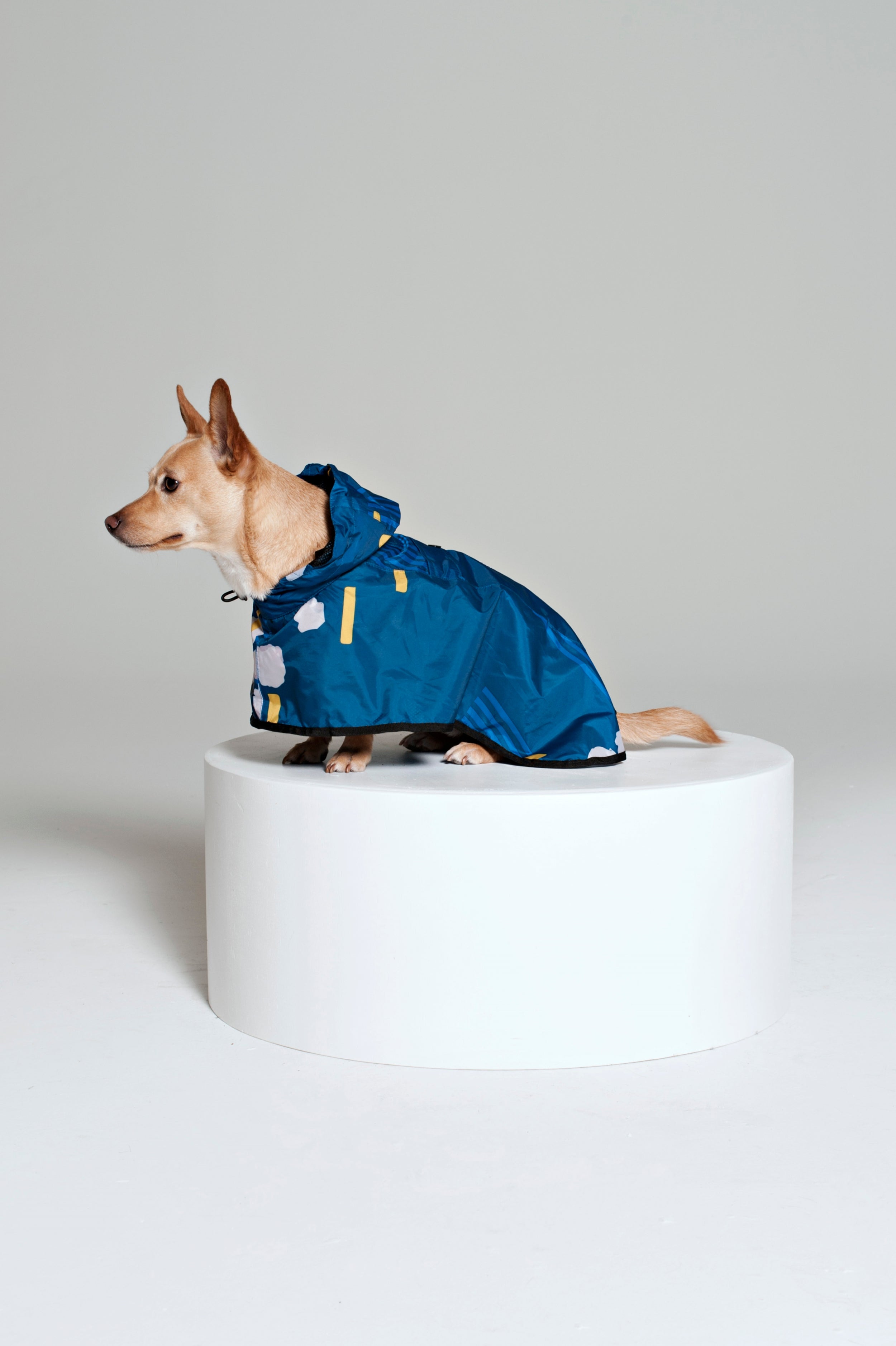 Japanese Blossom - Dog Poncho