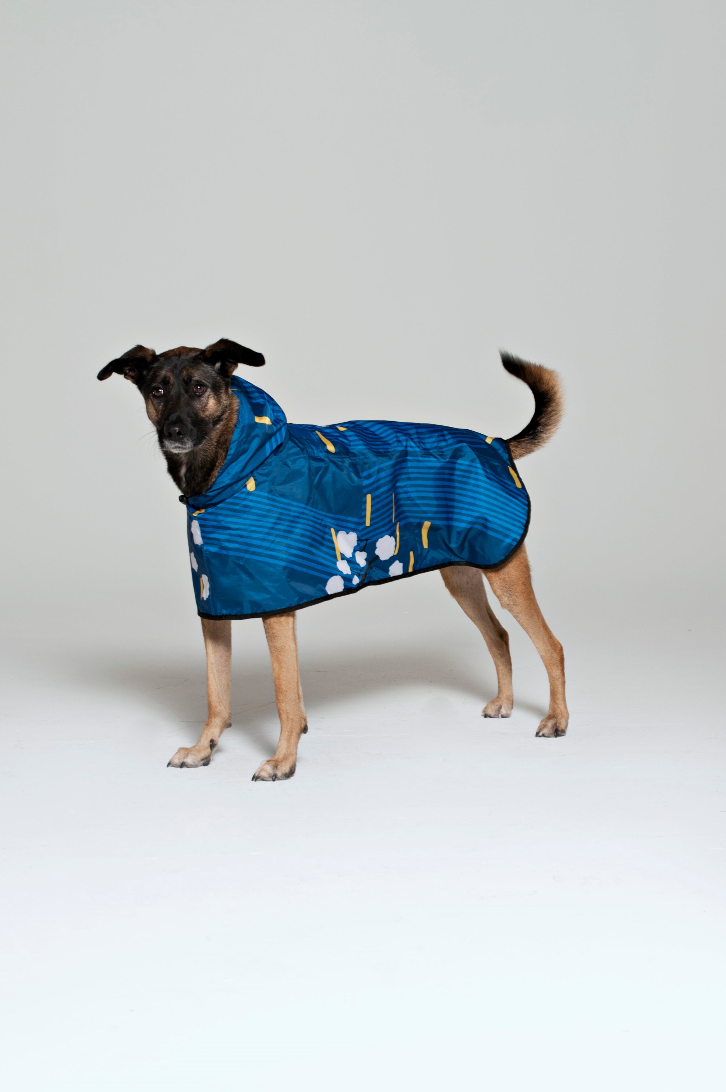 Japanese Blossom - Dog Poncho