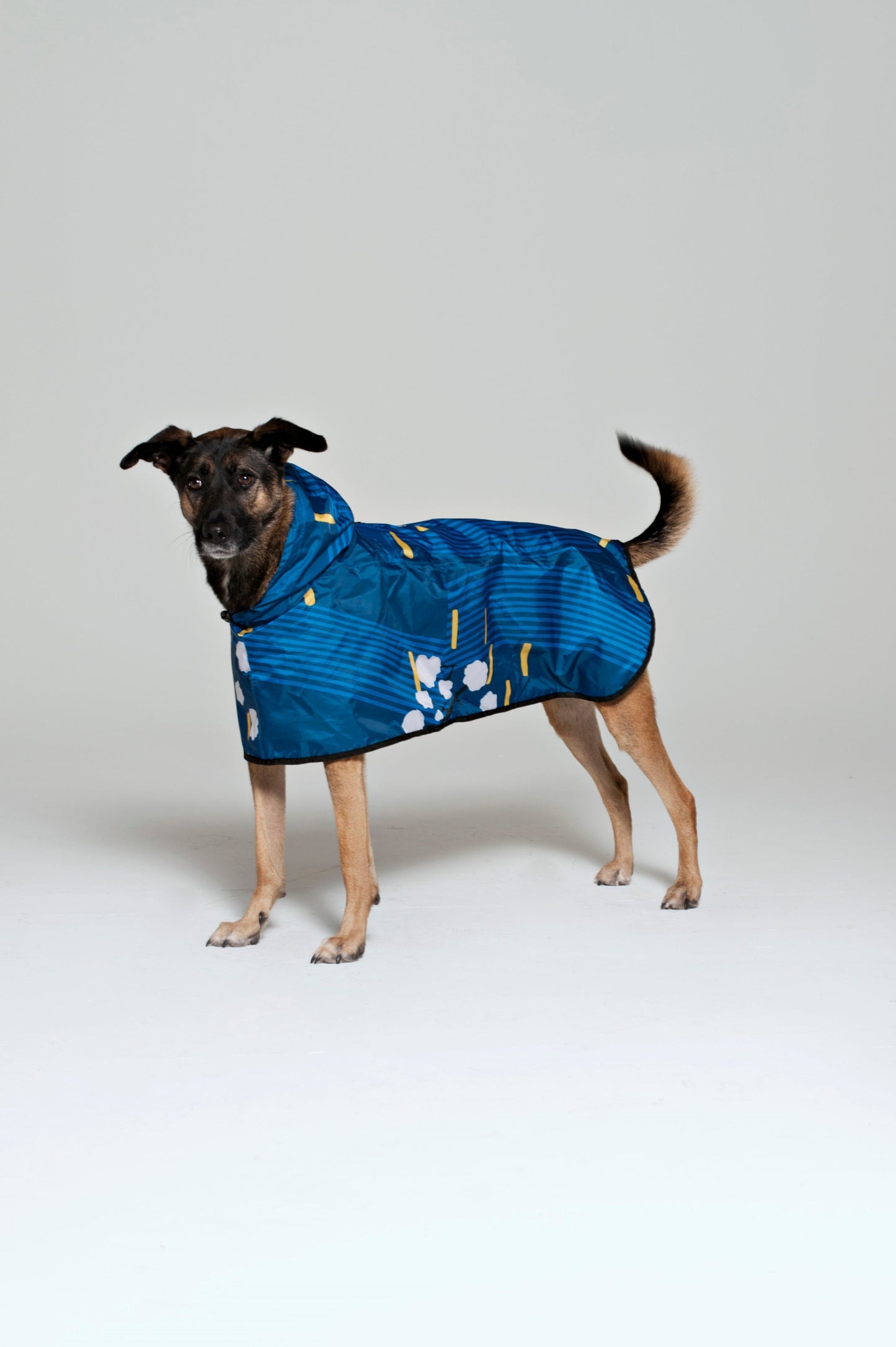 Japanese Blossom - Dog Poncho