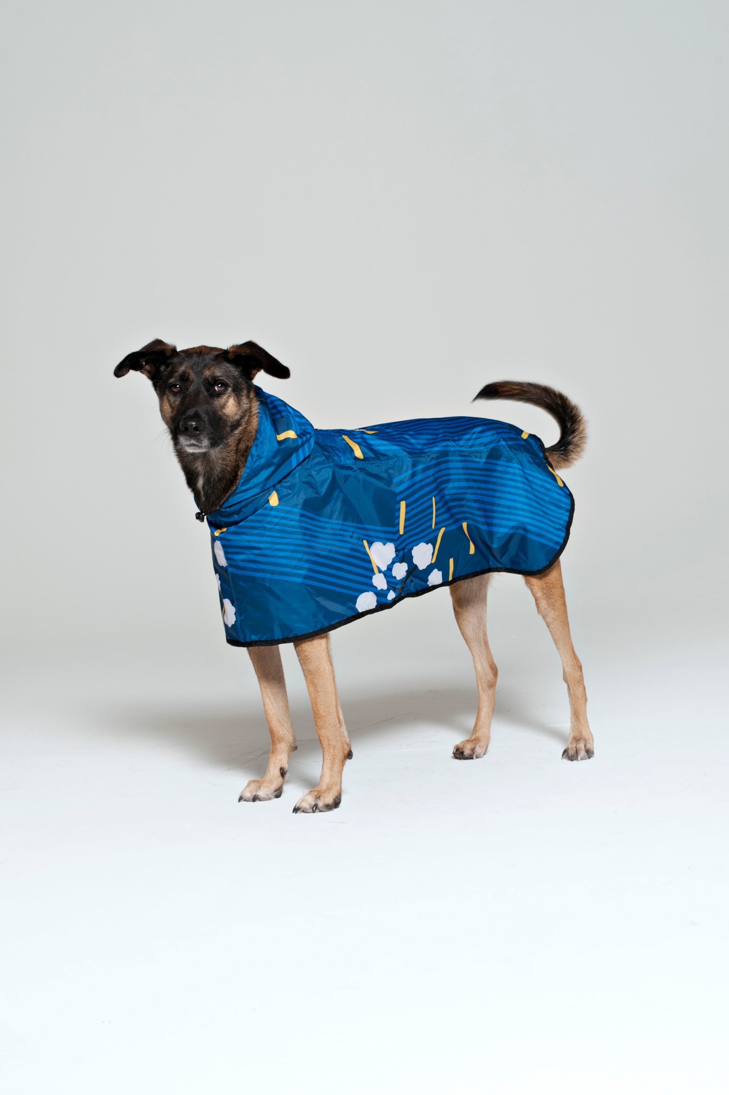 Image of Japanese Blossom - Dog Poncho