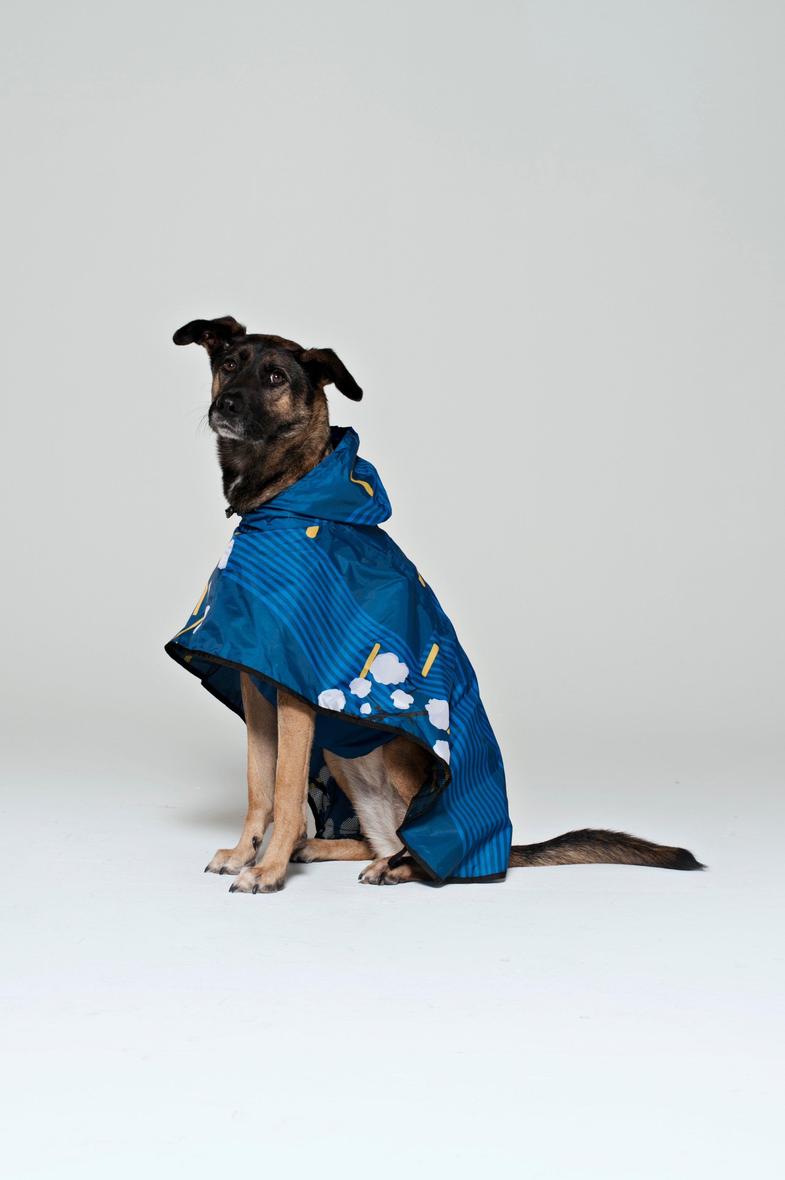 Image of Japanese Blossom - Dog Poncho
