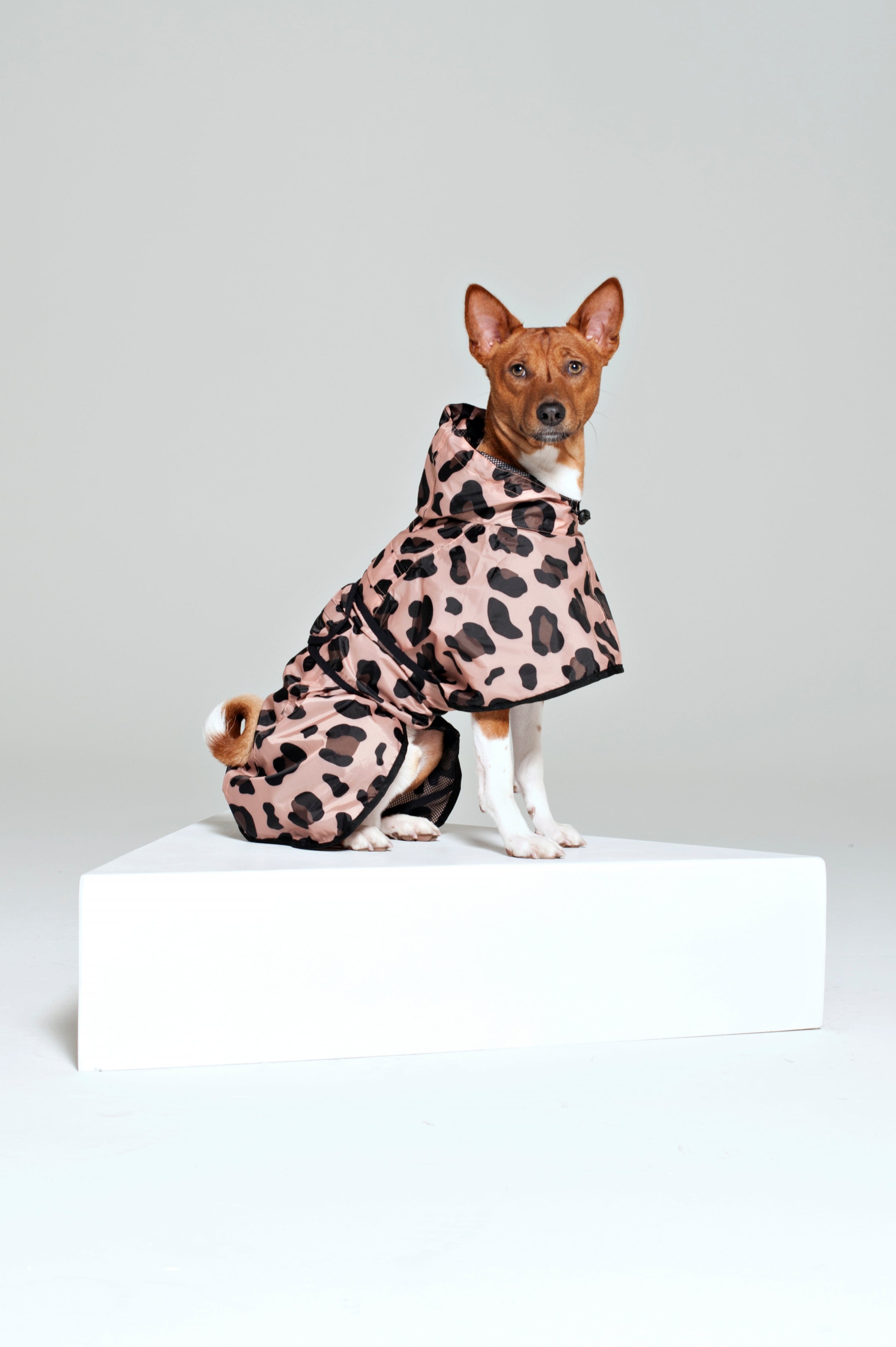 Pink Panther - Dog Poncho