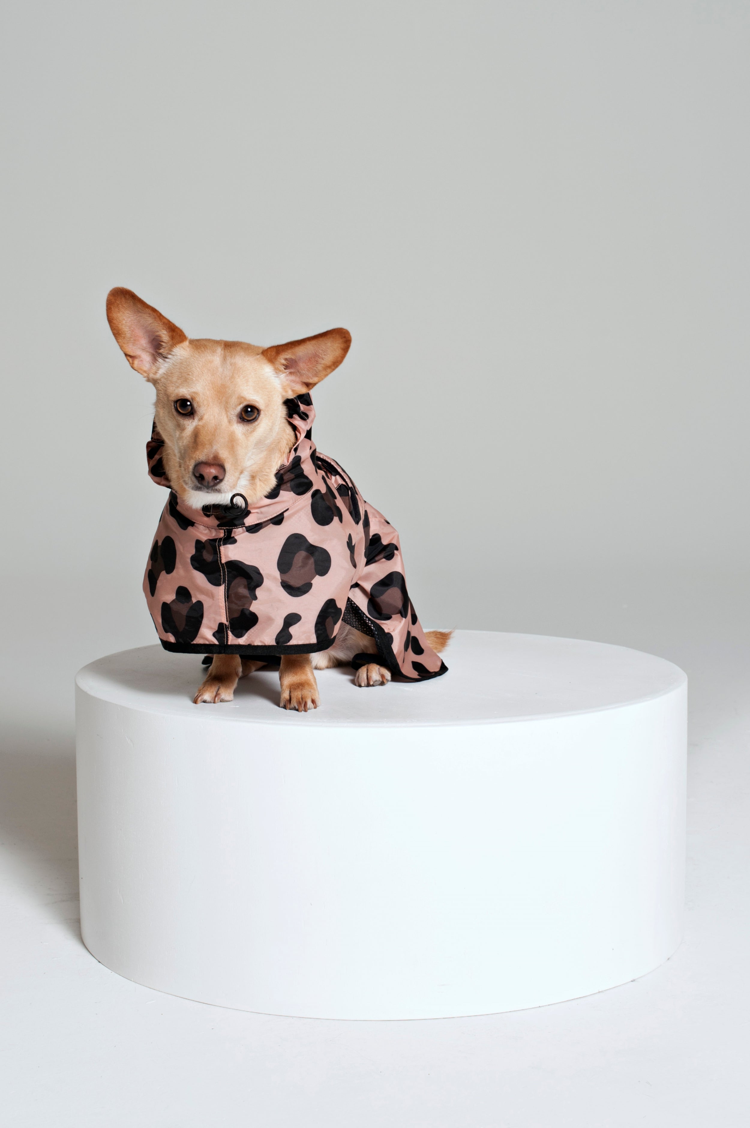 Image of Pink Panther - Dog Poncho
