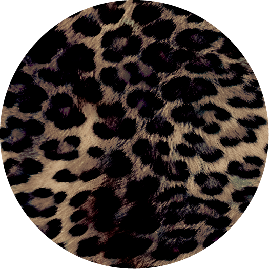 Image of Dark Leopard - Rain Coat